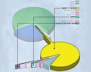 חלקם של גזי החממה באויר